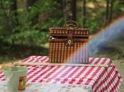 vamos picnic