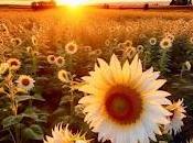 5.538 vuelve vida...