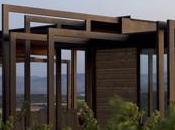 Viña Real Experience. Entre viñedos