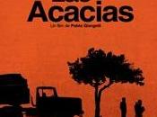 Estrenos jueves 24/11: Llega Acacias padrino!