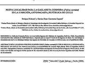 Trabajos investigación publicados recientemente autor: Nueva localidad para gallareta cornuda (Fulica cornuta) Región, Antofagasta, República Chile