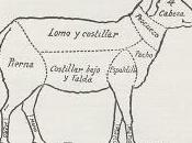 Cordero todos dioses