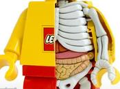 Anatomía figurita Lego