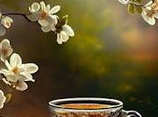 5.550 tiembla flor...