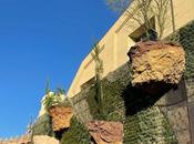 hermoso jardín vertical pared antiguo Palau Metal·lúrgia