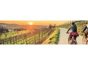 ejercicio ligero mejora función ejecutiva, según estudio