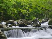 Guía para principiantes Parque Nacional Grandes Montañas Humeantes