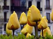 negación invisible: fuerza oculta 'pero'