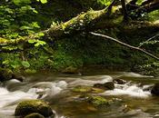 Fotografias Cantabria