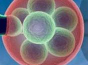 limbo embriones congelados