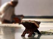 Instituto Estudios Sufíes