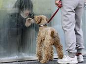 Fotografías poderosas 2011