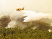 Levantan orden confinamiento parte alejada masa forestal núcleo Esperanza