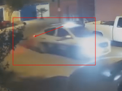 (video)Taxi 2231 atropella perritas situación calle, está grave