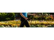 aptitud física relación fibrilación auricular: clave está mantenese forma