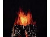 Campaña: quema libros