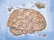 Ubican área permite hacer tareas simultáneas