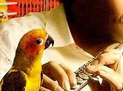 Dave Valentin Come With