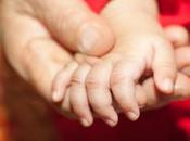 Individuación simbiosis psíquicas