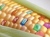 Transgénicos alimentos genéticamente modificados
