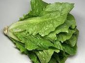 Propiedades lechuga