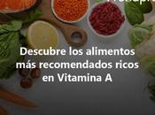 Descubre alimentos recomendados ricos Vitamina