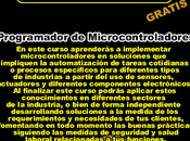 Programador Microcontroladores
