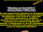 Técnico Seguridad Informática Perimetral