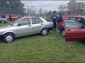 años Volkswagen Gacel Argentina