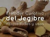 Poder Curativo Jengibre: Propiedades Usos