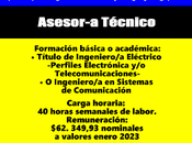 Asesor-a Técnico