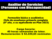 Auxiliar Servicios (Personas Discapacidad)