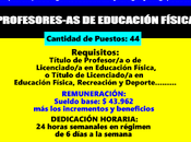 Profesores-as educación física