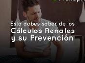 Todo Debes Saber sobre Cálculos Renales Prevención