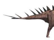 Dacentrurus