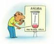 Anemia deficit verduras