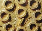Nine circles nine