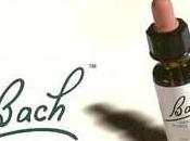 ¿Que Flores Bach?