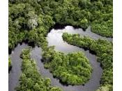 Amazonía: problemas maravilla natural