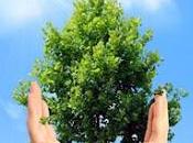 consiste EcoTurismo?