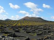 Geria, espacio natural Lanzarote