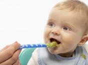 bebés alimentados comida casera aceptan mejor frutas verduras crecer