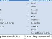 2011, Internacional Bosques