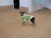 Marina cachorro superviviente urgentisisisimo‏!!!