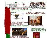 Boletín Fundación para estudio Dinosaurios Castilla León