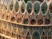 recrea Camp remodelado, pero Antoni Gaudí