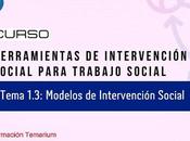 Tema Curso Modelos intervención social trabajo