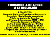 Educador-a apoyo inclusión