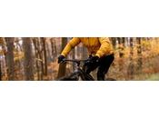 ¡Bienvenido Noviembre! Acepta nuevo Reto PuntoSeguro ahorra seguro vida