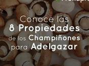 Conoce Propiedades Champiñones para Adelgazar